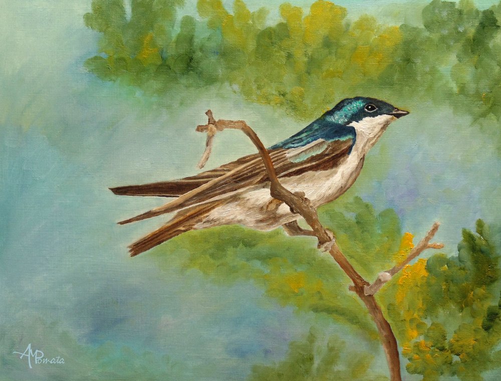  av Angeles M. Pomata