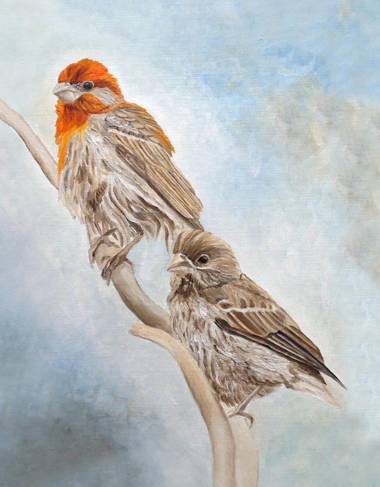  av Angeles M. Pomata