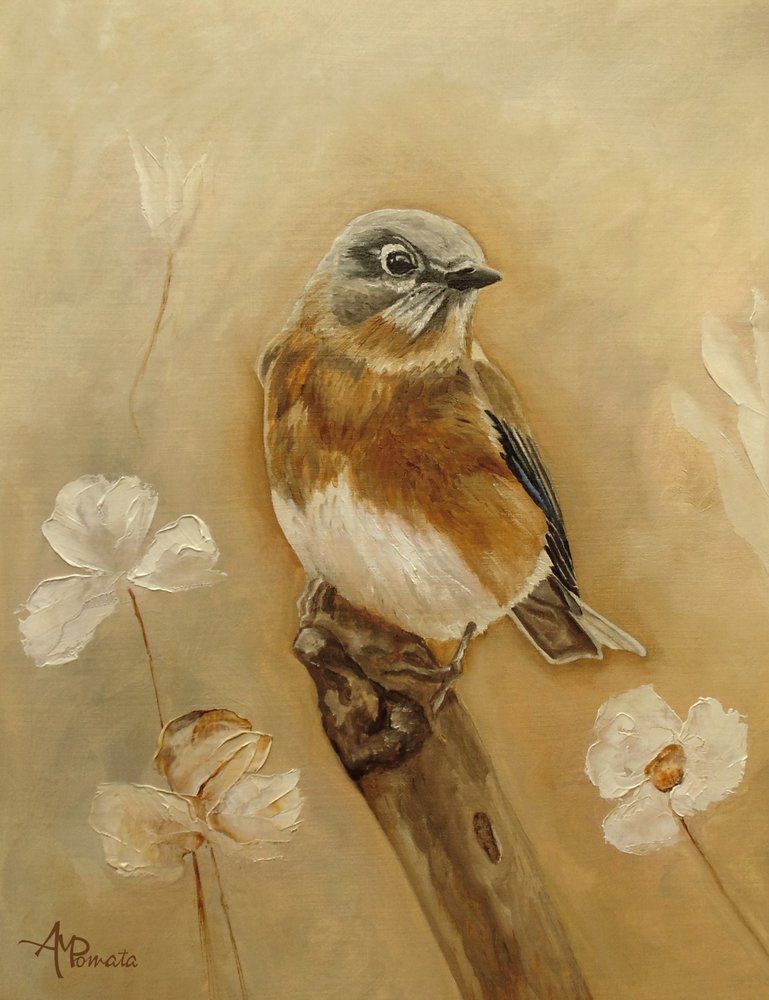  av Angeles M. Pomata