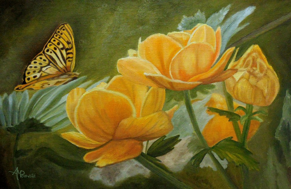  av Angeles M. Pomata