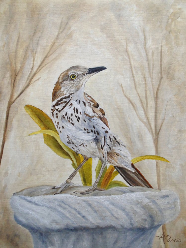  av Angeles M. Pomata