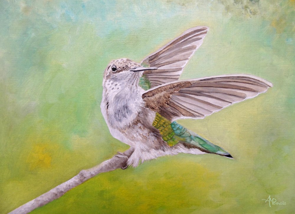  av Angeles M. Pomata