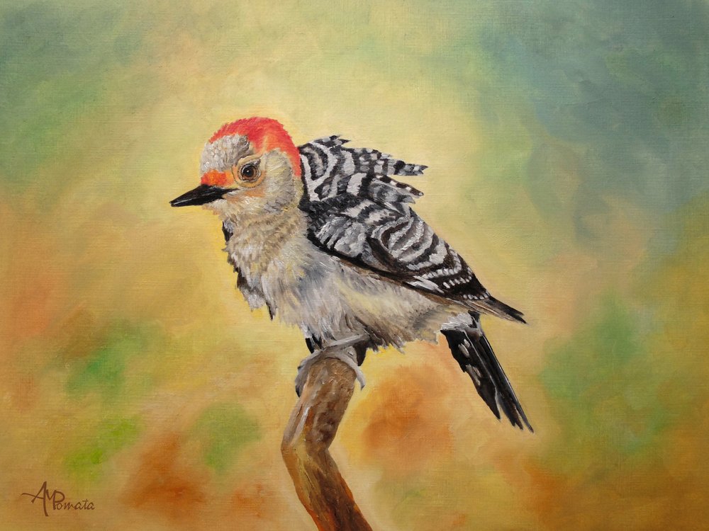  av Angeles M. Pomata