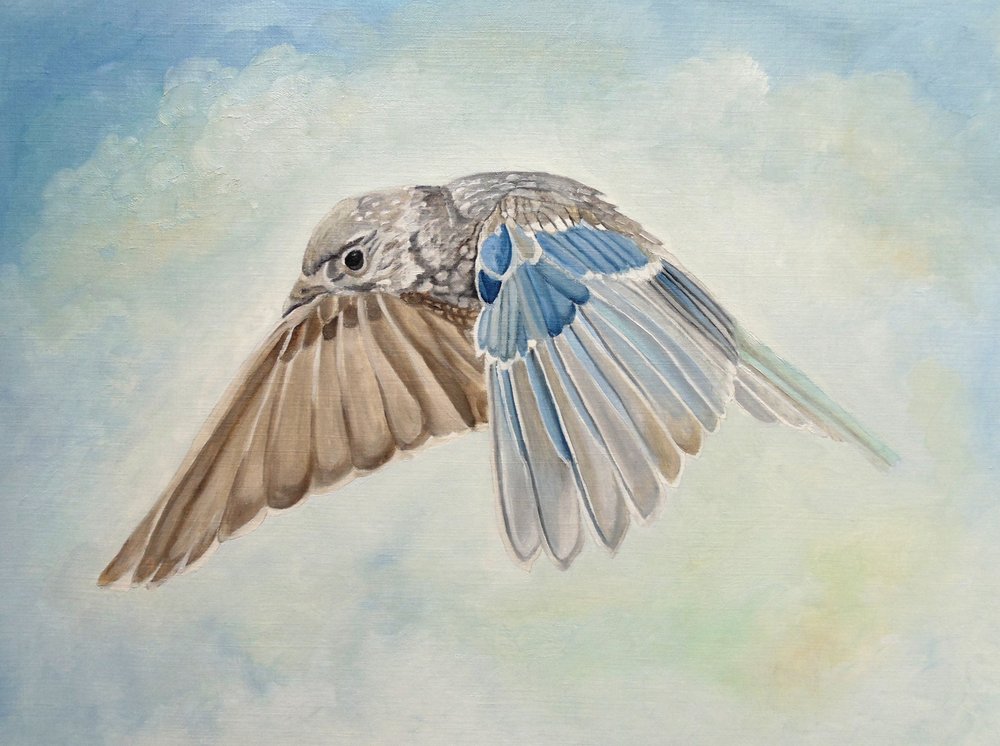 av Angeles M. Pomata
