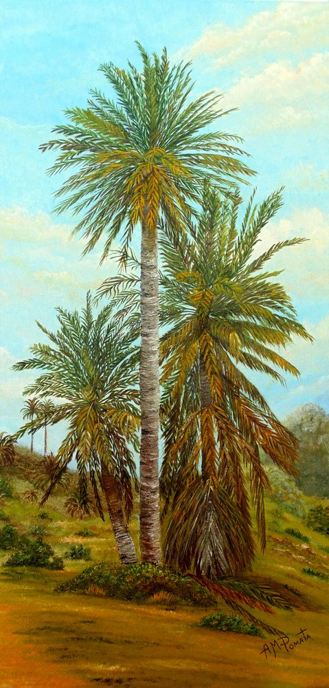  av Angeles M. Pomata