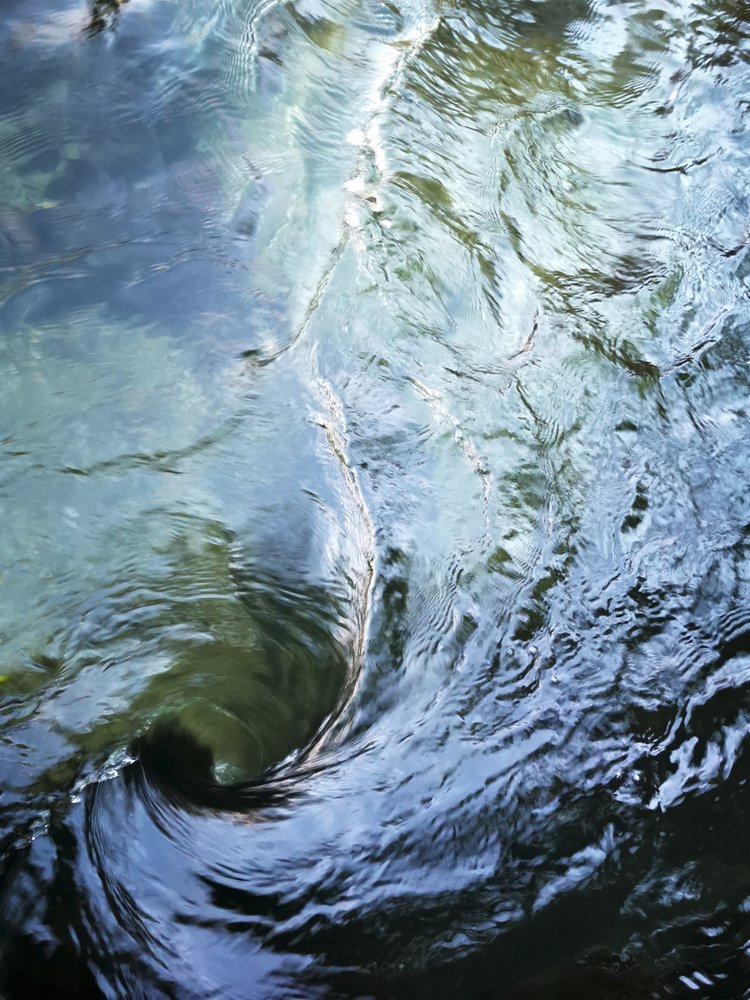  av Angelo Cerantola