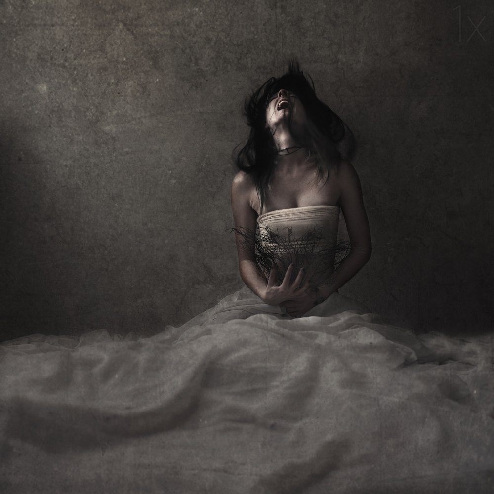  av Anja Matko