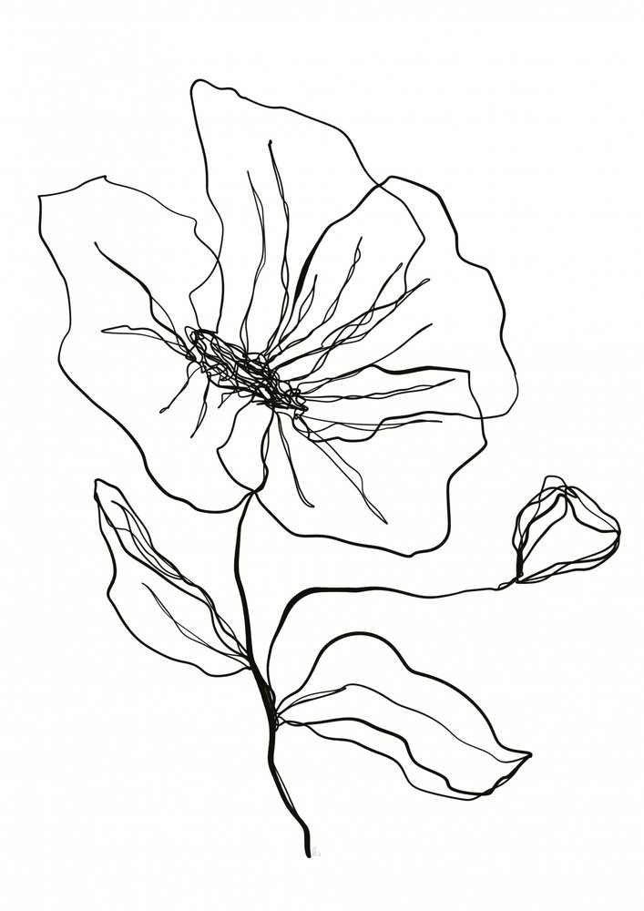 Delikat blomsterskisse av Ankie Kooi