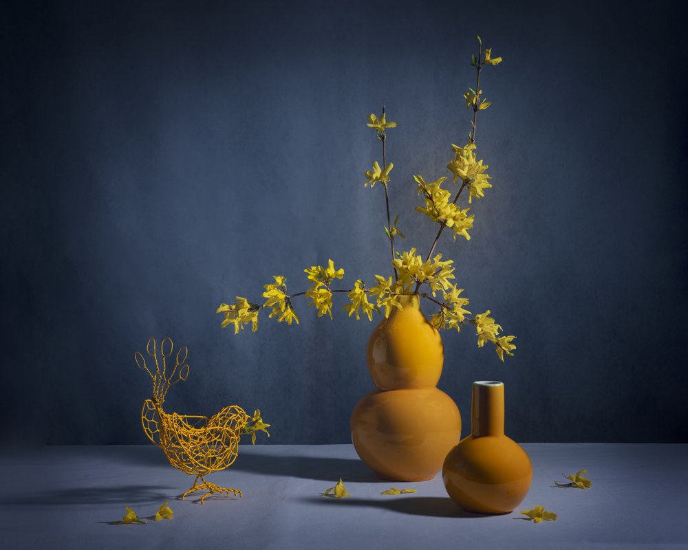 Stilleben med gyllen forsythia av Anna Qu