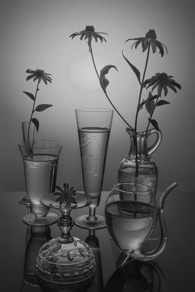 Monokrome blomster og glass av Anna Qu