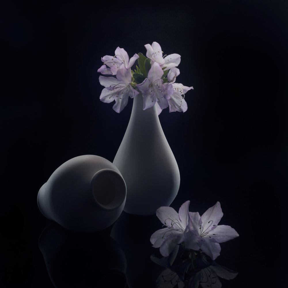 Stemningsfulle blomster og vaser av Anna Qu