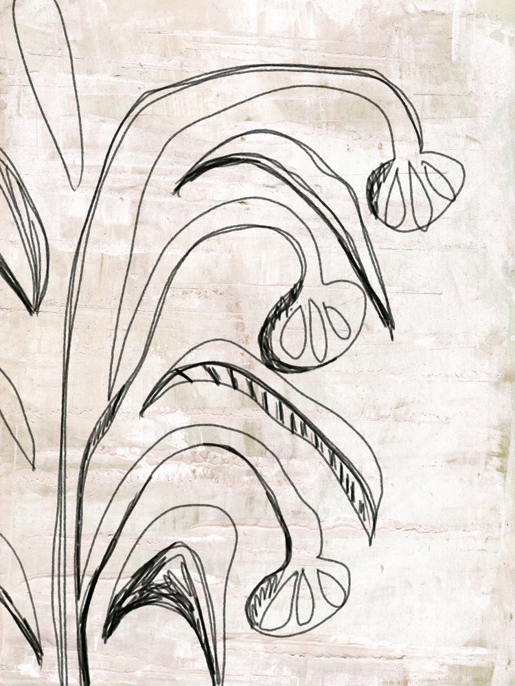 Organic Line Botanicals av Annick