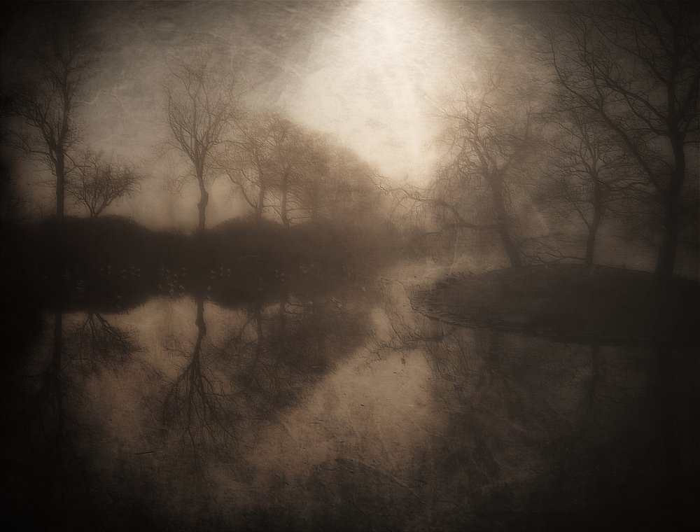 Refleksjon i den tåkete skogen av Bill Eiffert