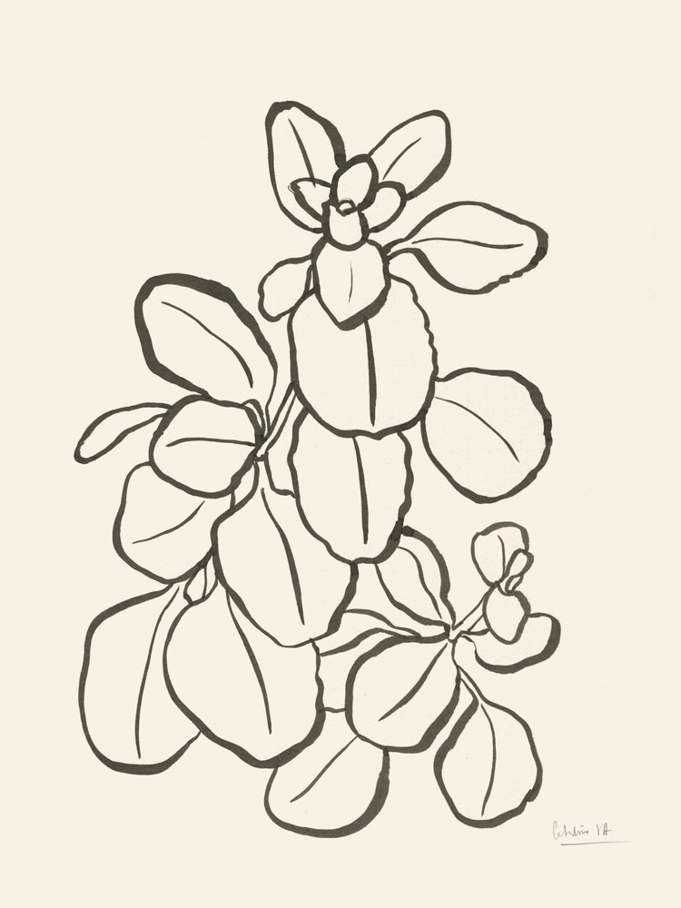  av Catalina Somolinos