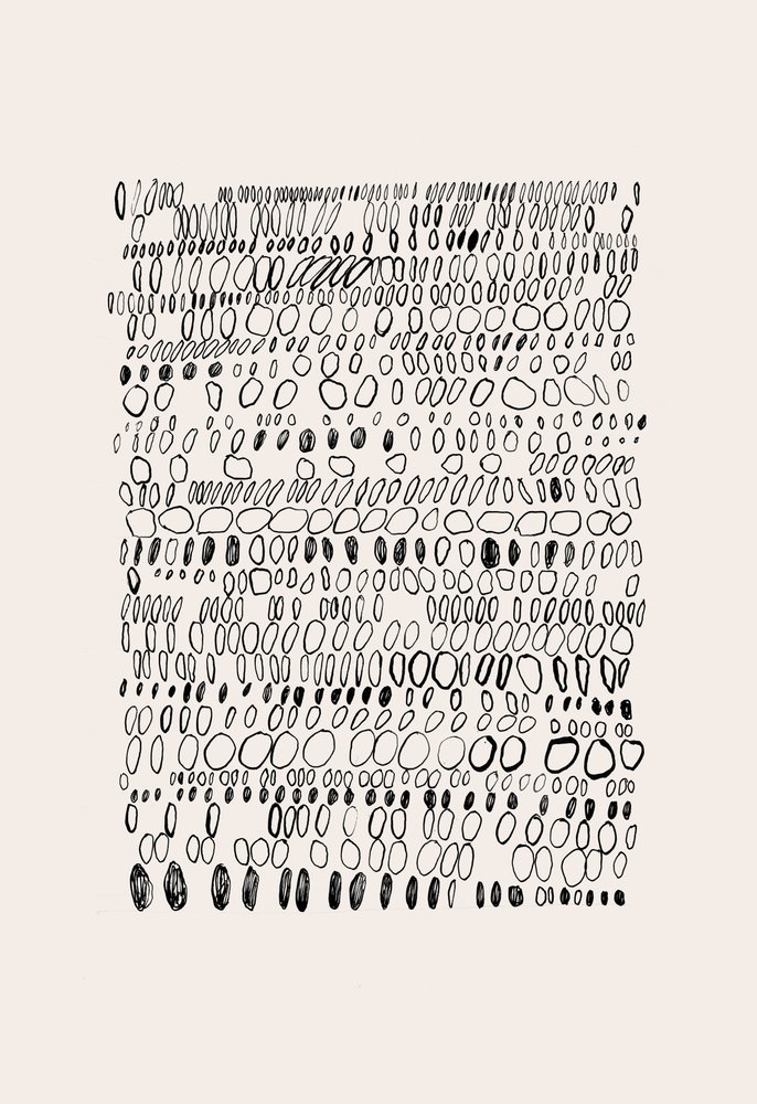  av Catalina Somolinos