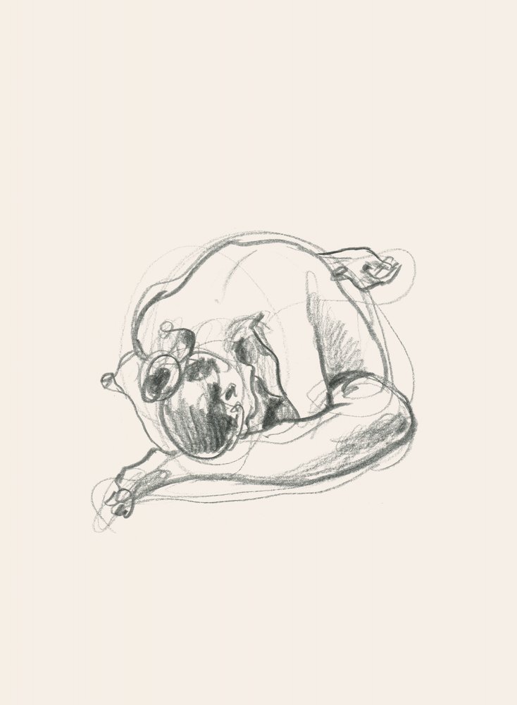  av Catalina Somolinos