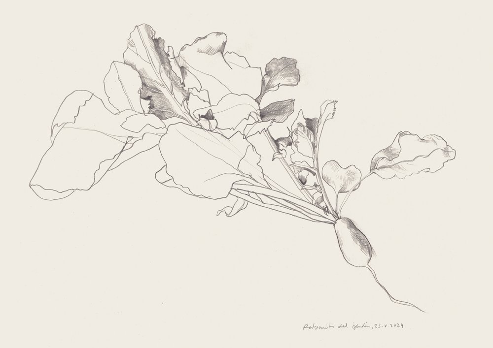  av Catalina Somolinos