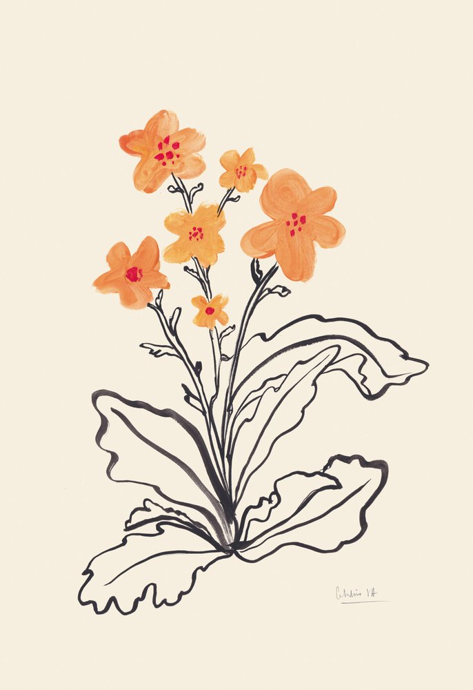  av Catalina Somolinos