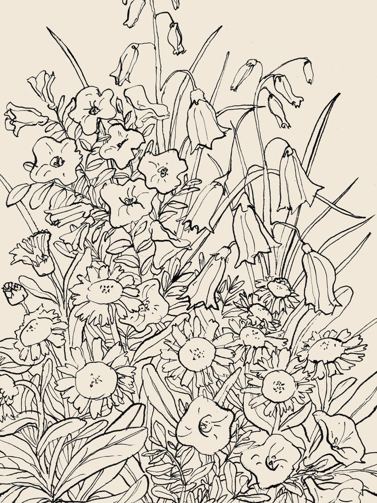  av Catalina Somolinos