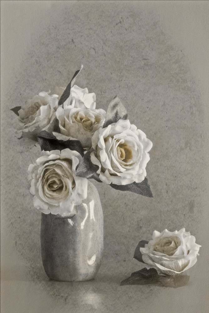 Elegante hvite roser av Cicek Kiral