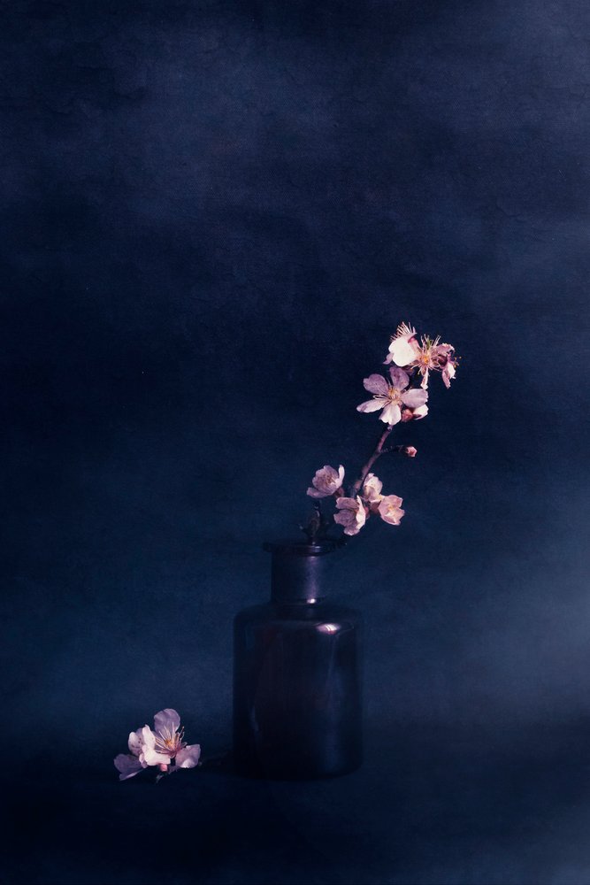 Stemningsfull blomstervase av Cicek Kiral
