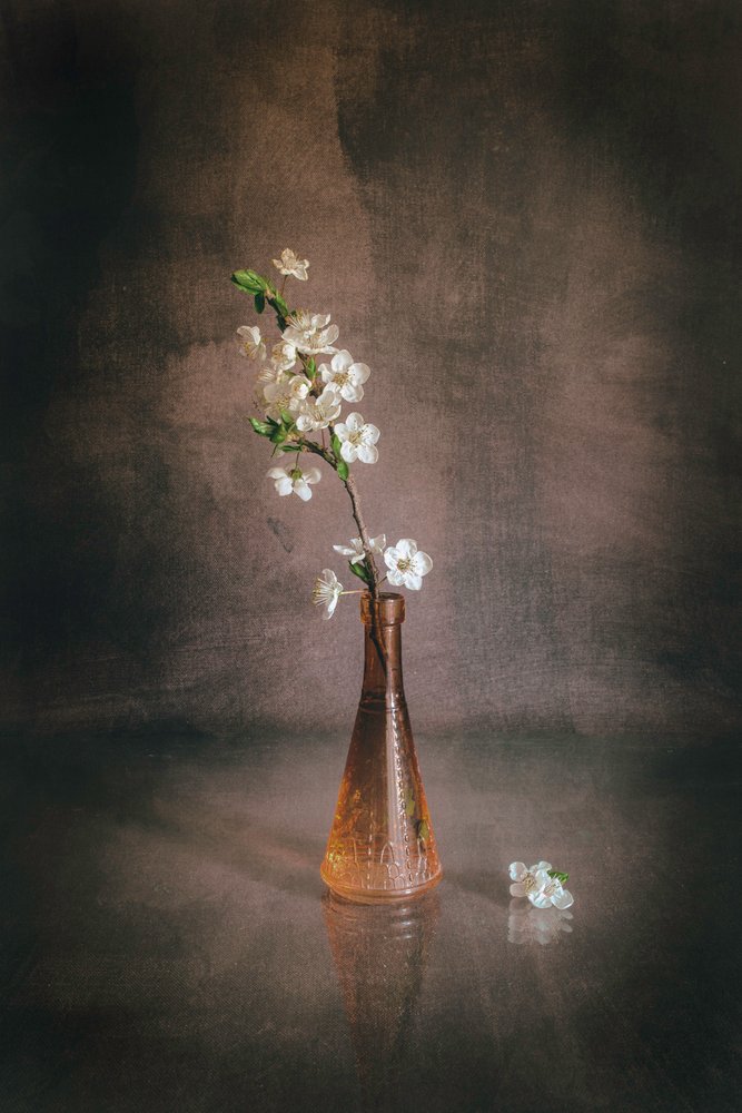 Hvit vase med kirsebærblomster av Cicek Kiral