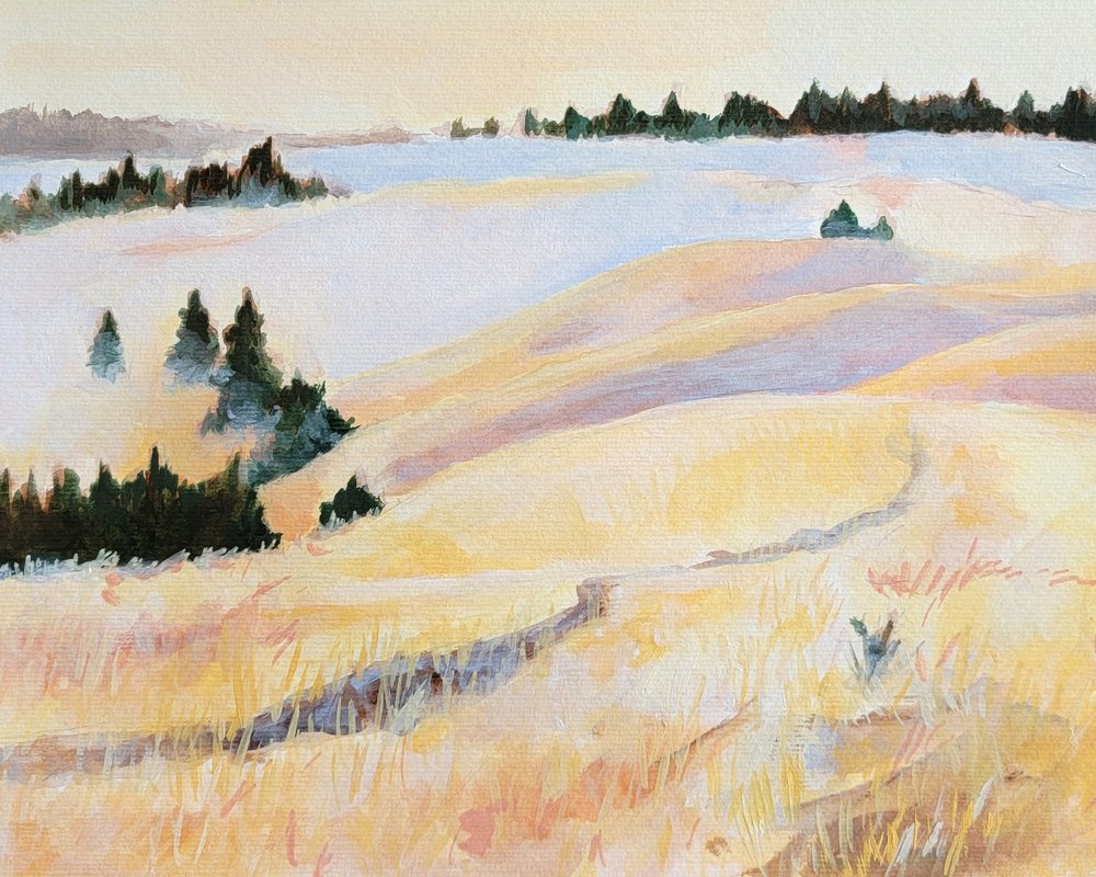  av Claire Whitehead