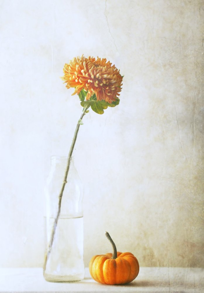  av Delphine Devos