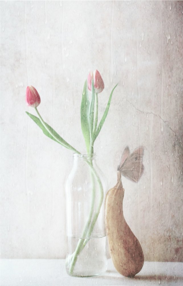  av Delphine Devos