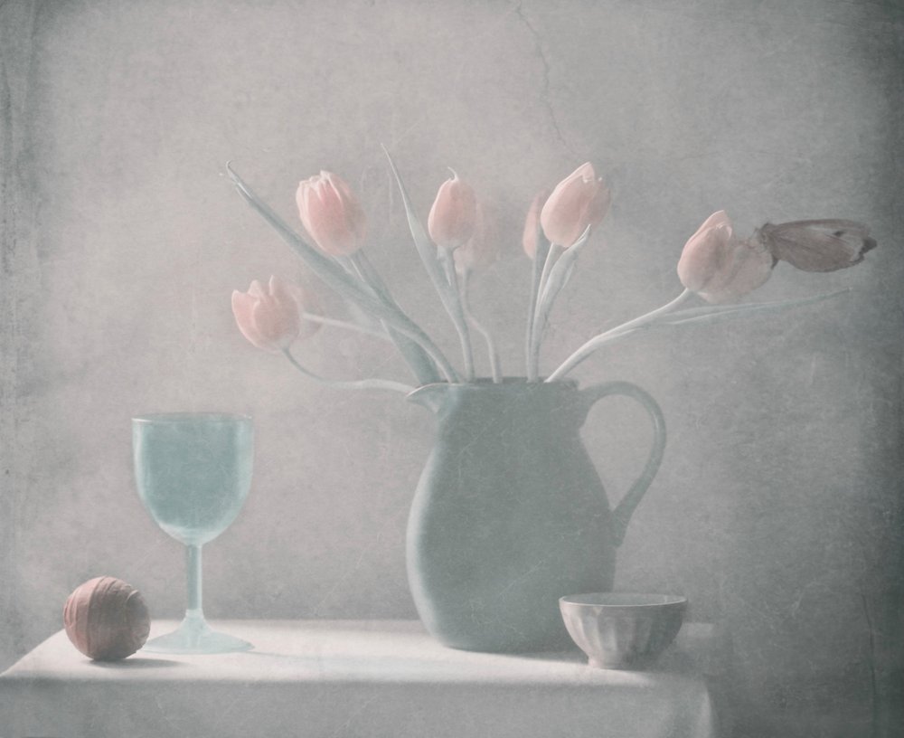  av Delphine Devos