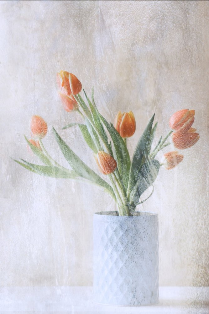  av Delphine Devos