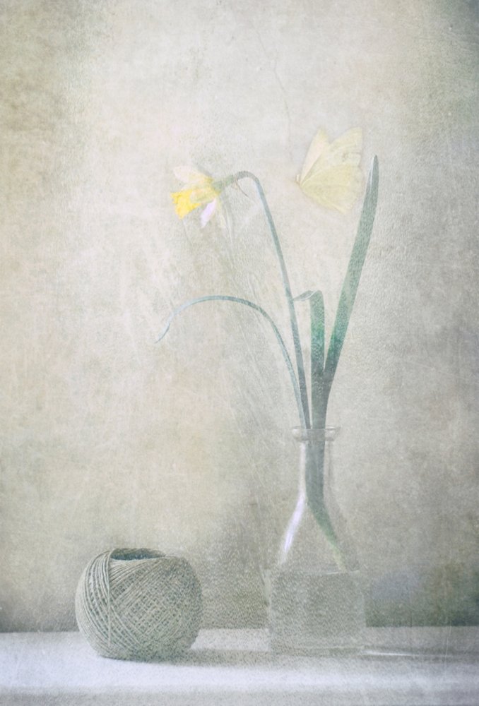  av Delphine Devos