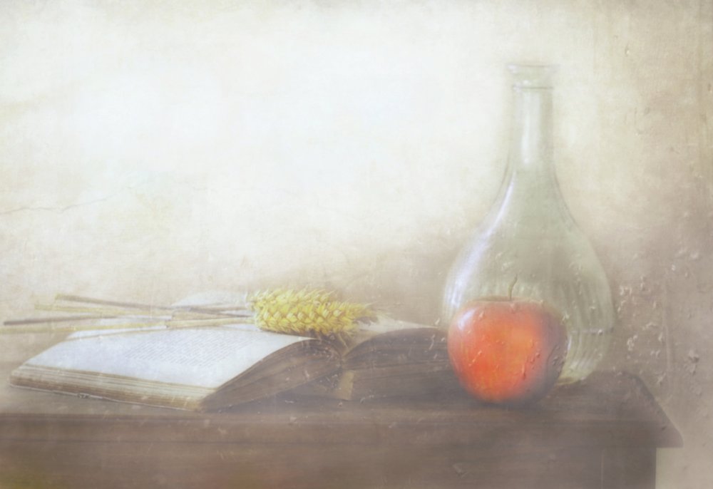  av Delphine Devos