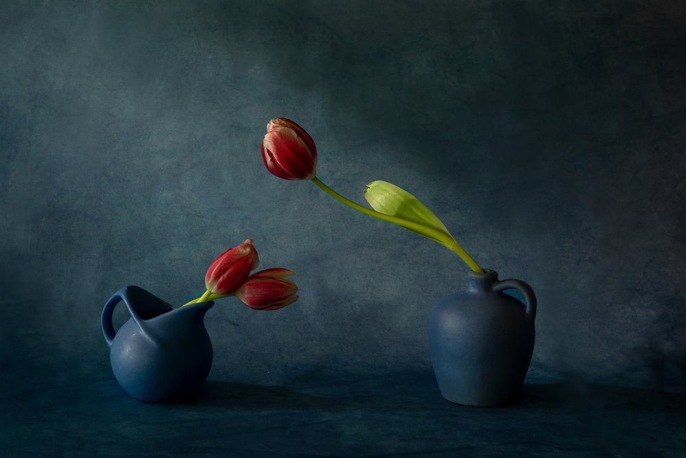 Elegant stilleben med tulipaner av Dennis Zhang