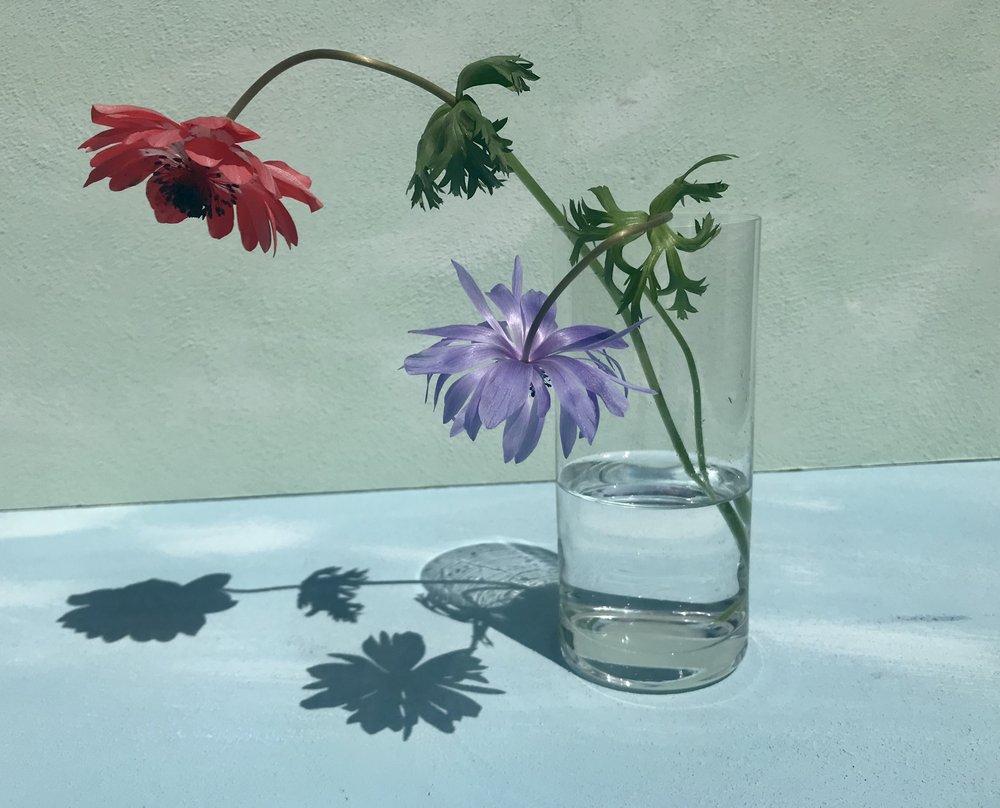 Livlige blomsterskygger av Donatella Basso