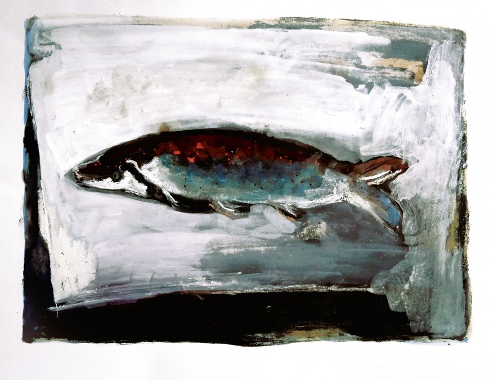 Fisk fra mørkt vann av Doris Schmitz