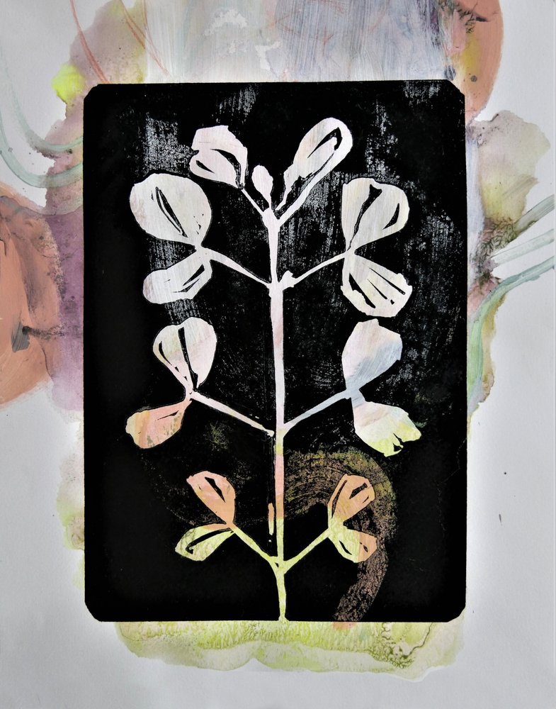 Pastellmaleri av botanisk motiv av Doris Schmitz