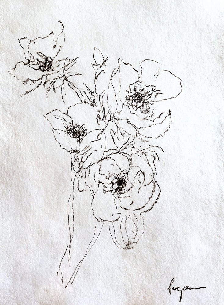 Delikat blomstertegning av Dorothy Fagan