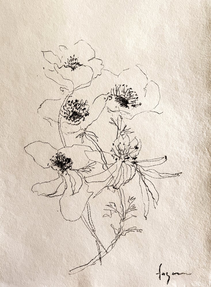 Delikat blomsterskisse av Dorothy Fagan