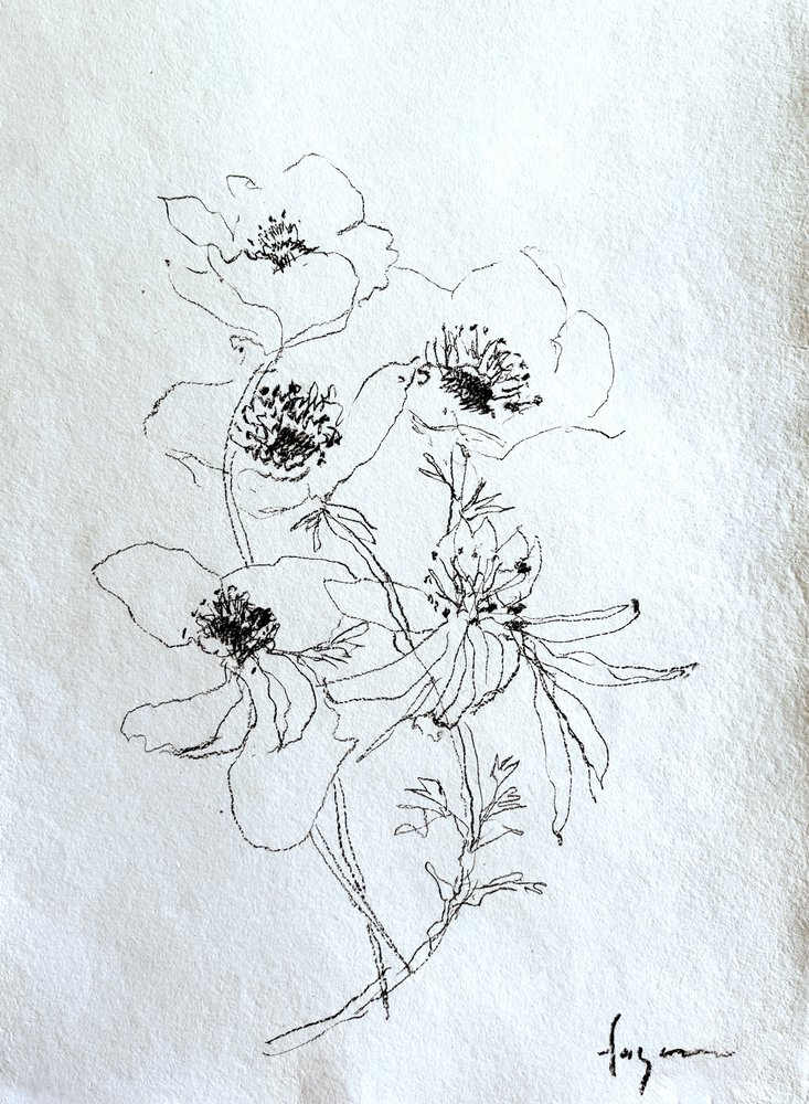 Delikat blomsterskisse av Dorothy Fagan