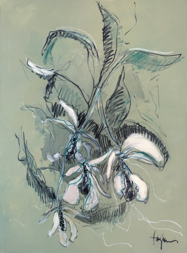 Elegant orkide-skisse av Dorothy Fagan