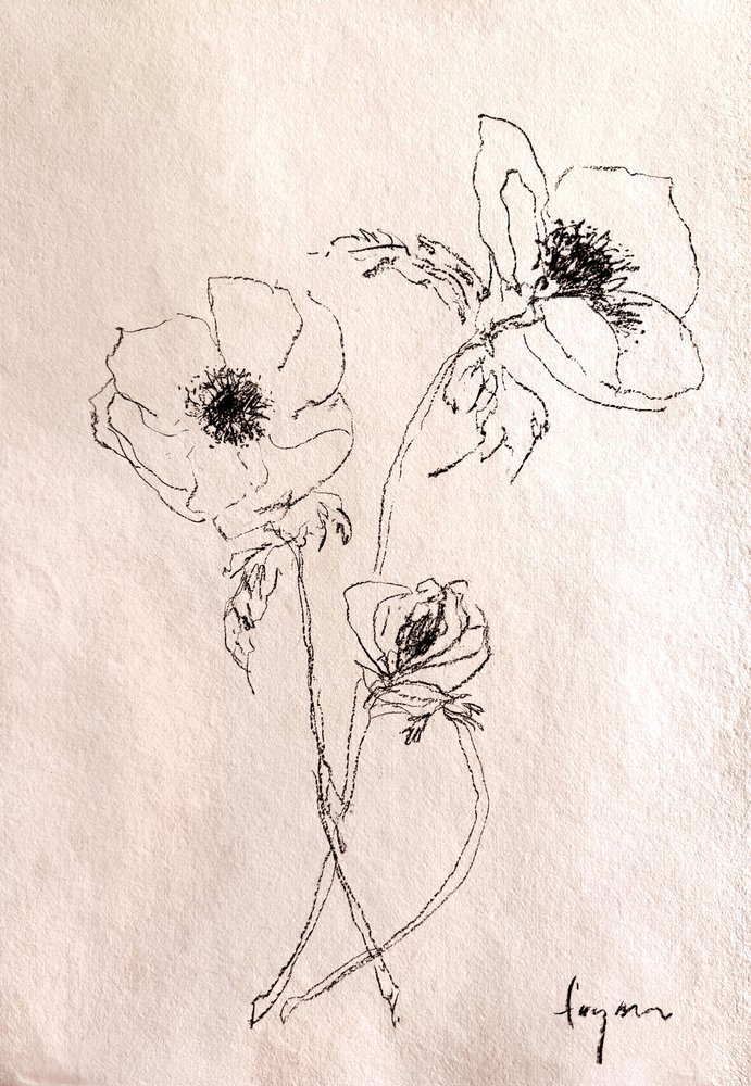 Minimalistisk blomstertegning av Dorothy Fagan