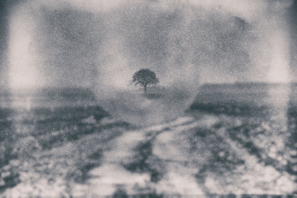  av Dragan Drobac