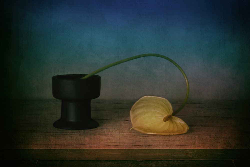 Elegant stilleben med anthurium av Elena Arjona