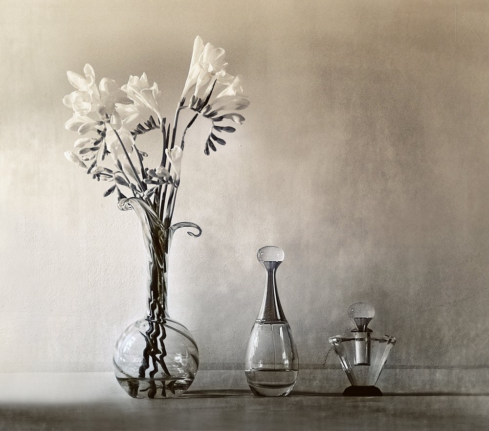 Elegante blomster og parfyme av Elena Arjona
