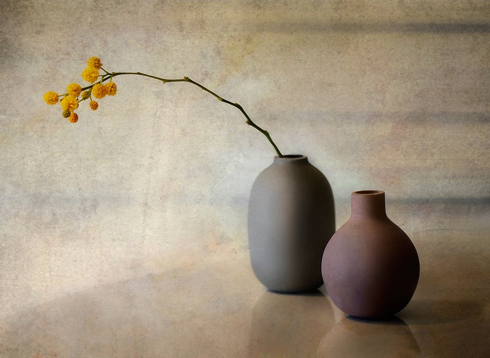 Minimalistiske blomstervaser av Elena Arjona