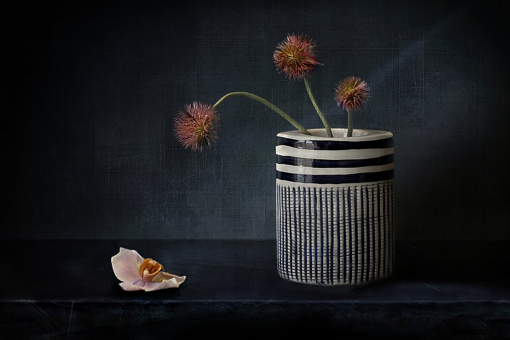 Stemningsfulle, piggete blomster av Elena Arjona