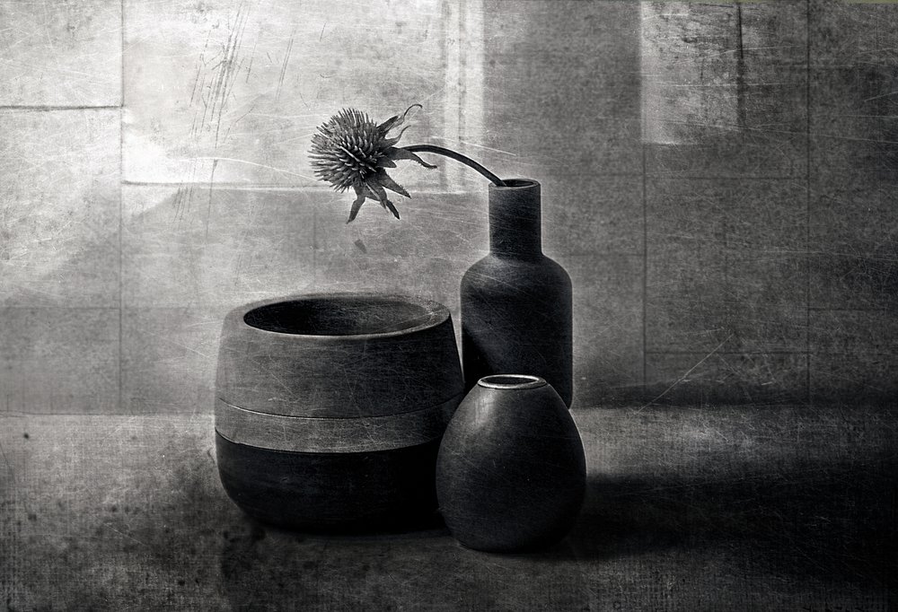 Moody Thistle-fartøyene av Elena Arjona