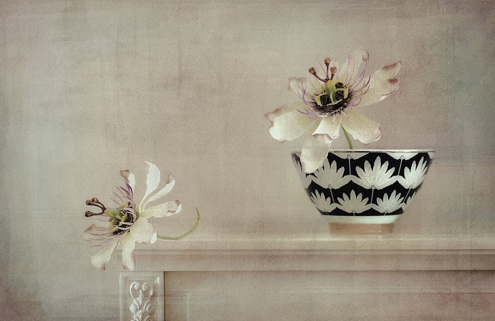 Stilleben med pasjonsblomst av Elena Arjona