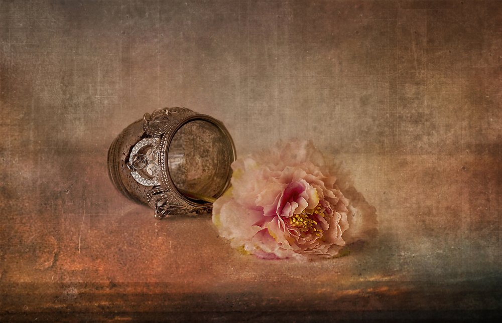 Rosa pion og minnesak av Elena Arjona